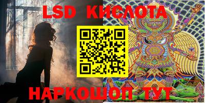 PSILOCYBIN Чапаевск