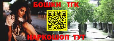 гашик Шебекино
