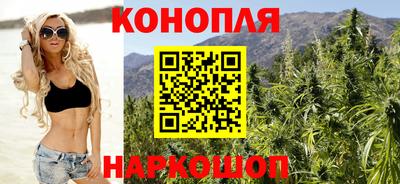 гашик Шебекино